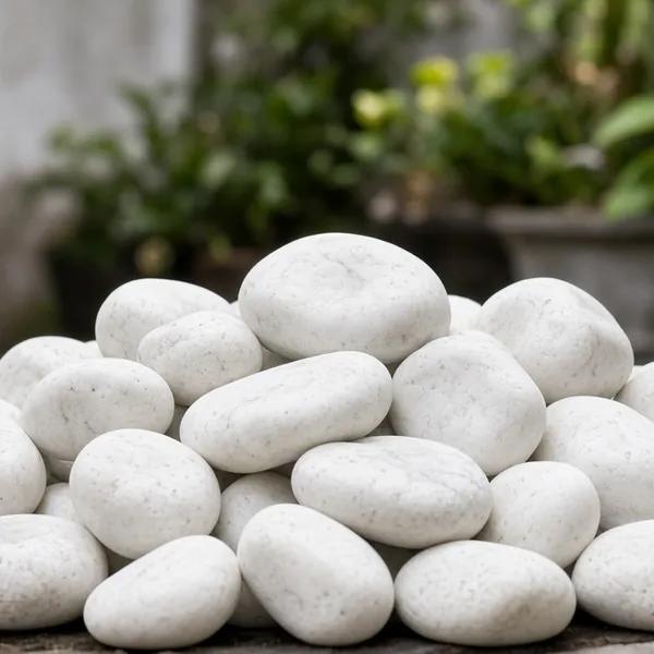 Sỏi trang trí cho sân vườn và tiểu cảnh