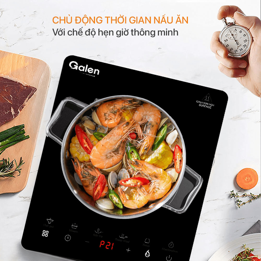 Bếp điện từ đơn Galen PE0224 (G017)