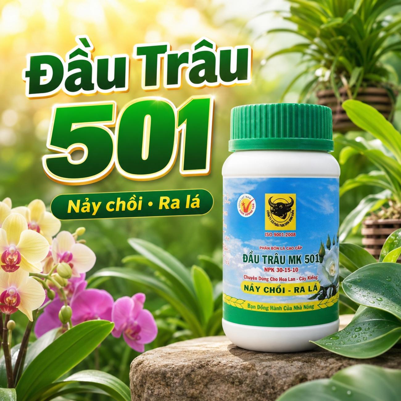 Đầu Trâu 501
