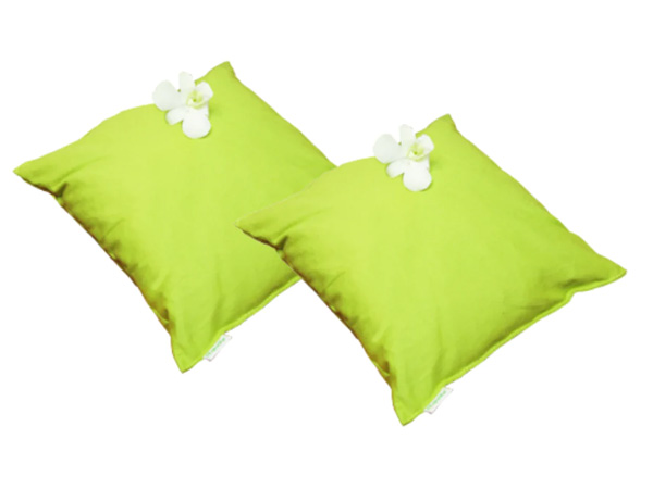 Gối ngải cứu Hapaku 20 x 20cm