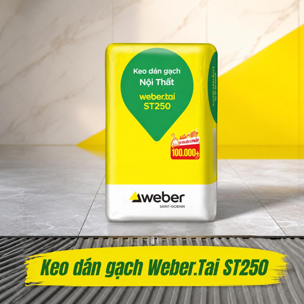 Keo dán gạch Weber.tai vis