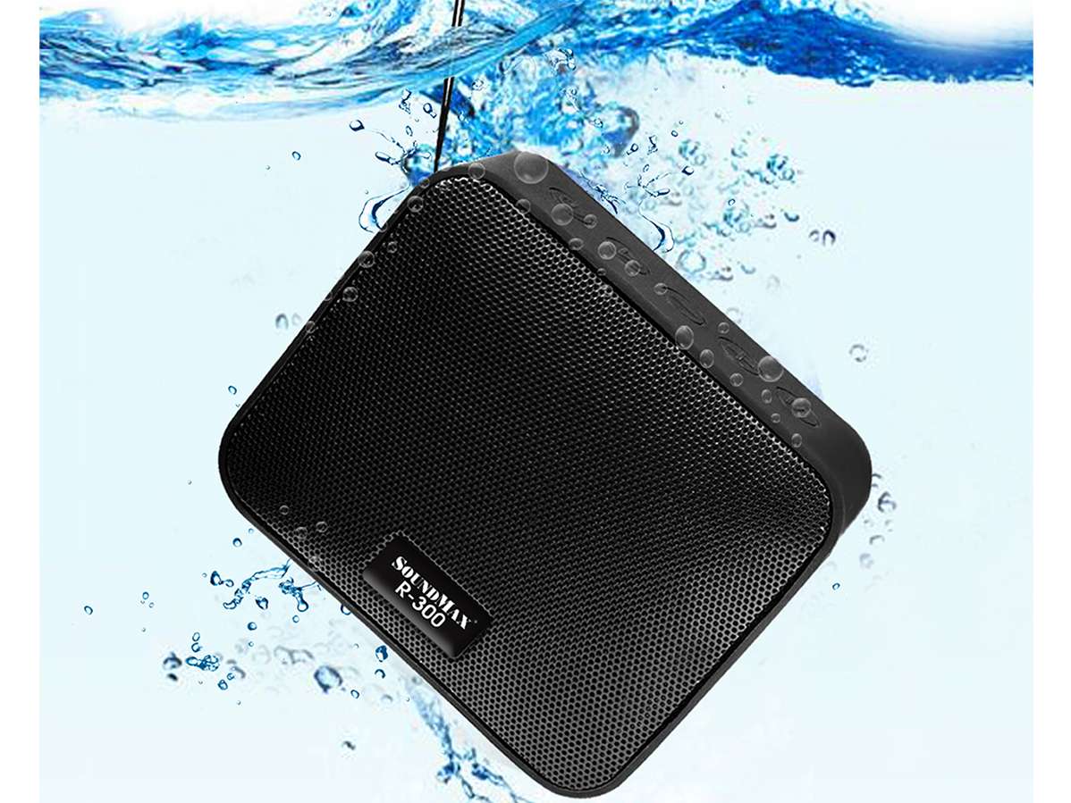 Loa Bluetooth di động SoundMax R-300