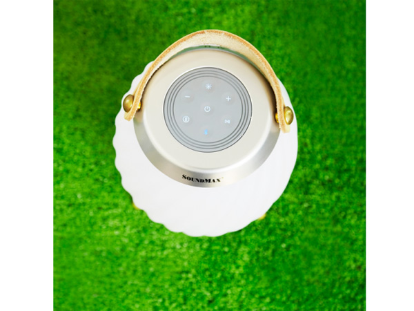 Loa Bluetooth SoundMax AL-22