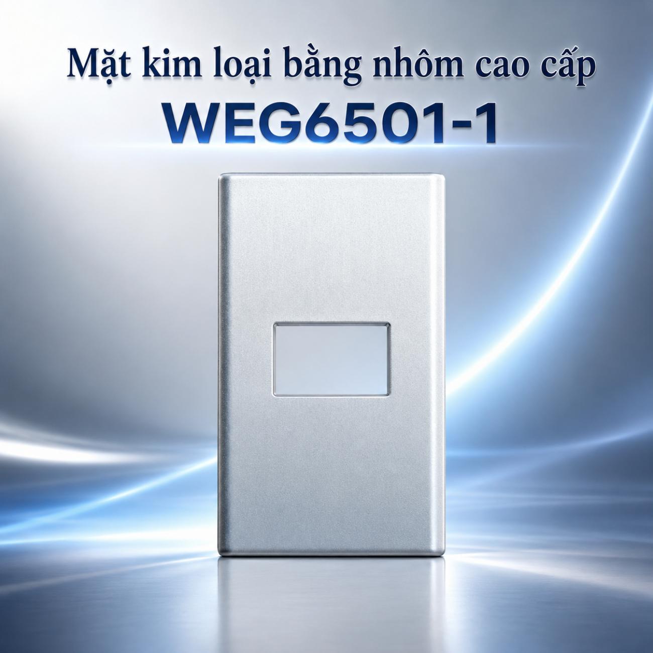 Mặt kim loại bằng nhôm cao cấp Panasonic WEG6501-1