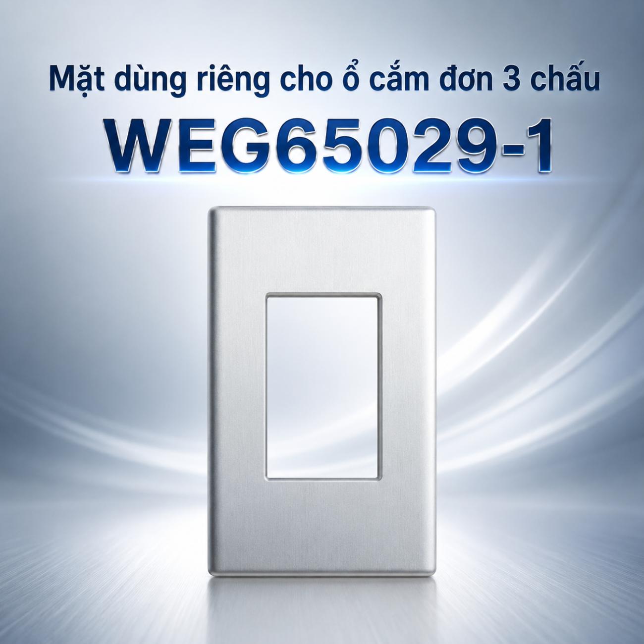 Mặt kim loại bằng nhôm cao cấp Panasonic WEG65029-1