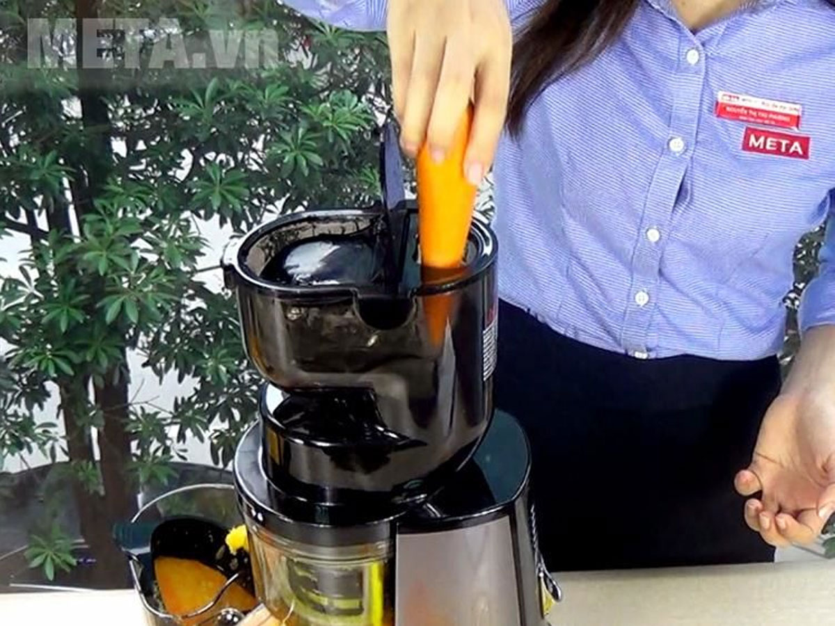 Máy ép chậm BioChef 666