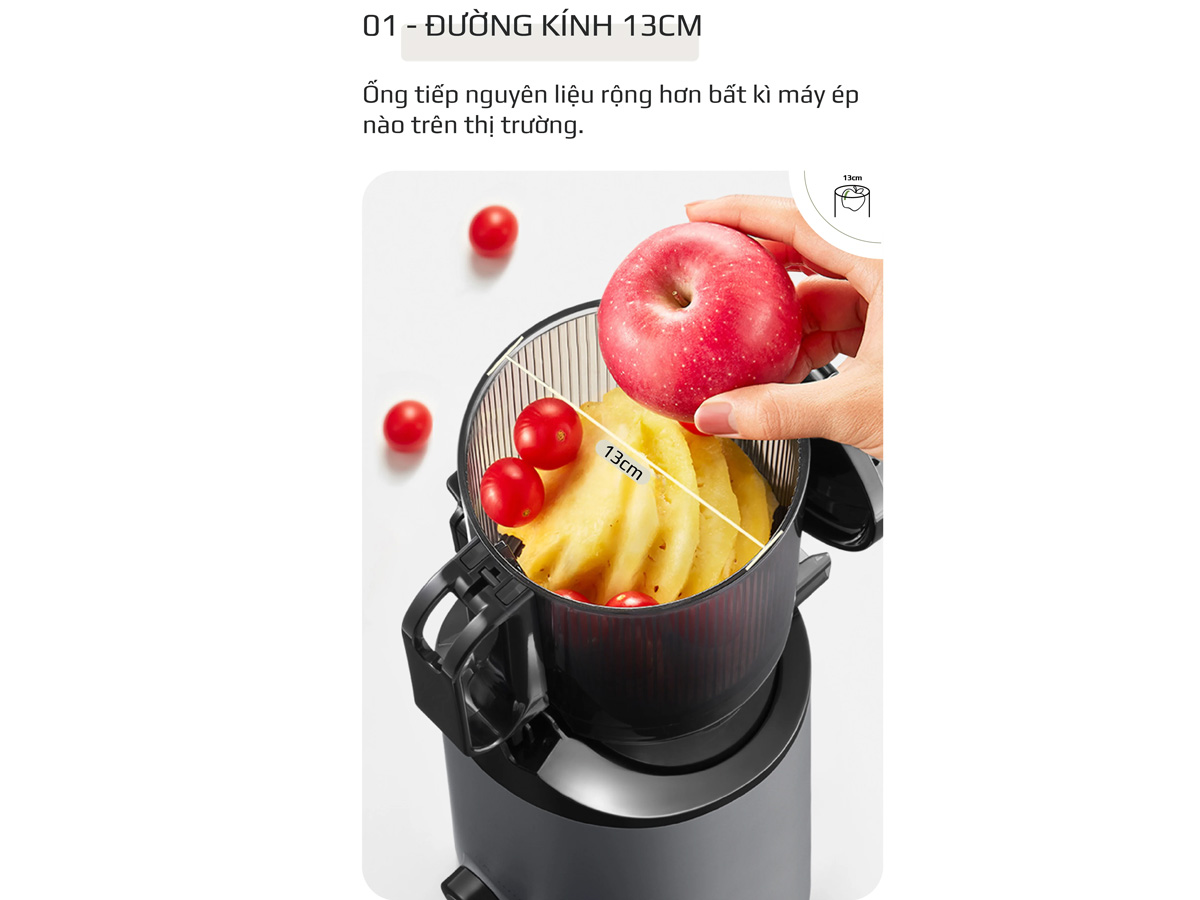 Máy ép chậm Olivo SJ196