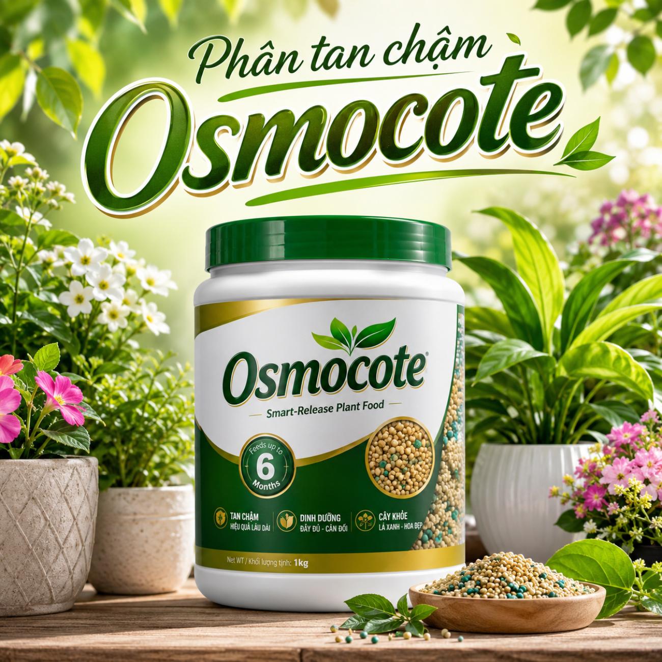 Phân tan chậm Osmocote
