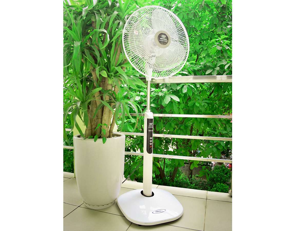 Quạt cây Điện Cơ 91 QĐC91 không điều khiển