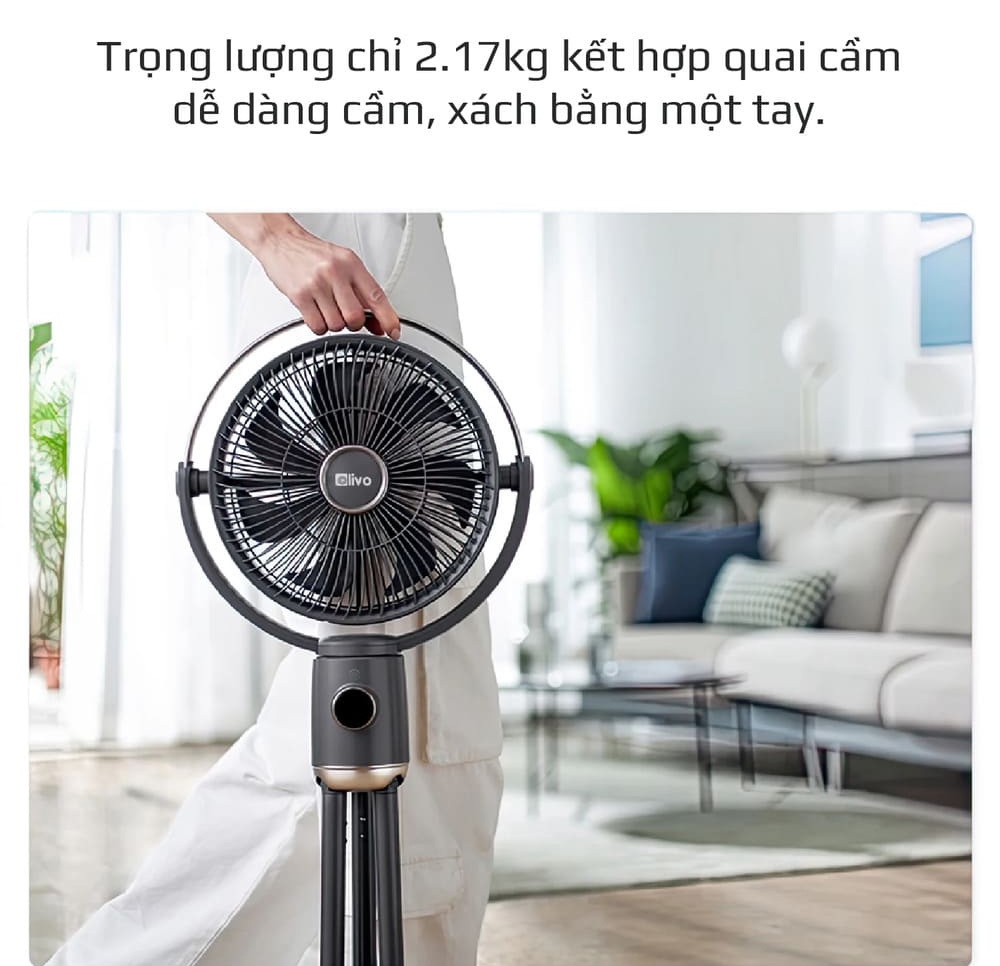 Quạt cây tích điện Olivo WF1