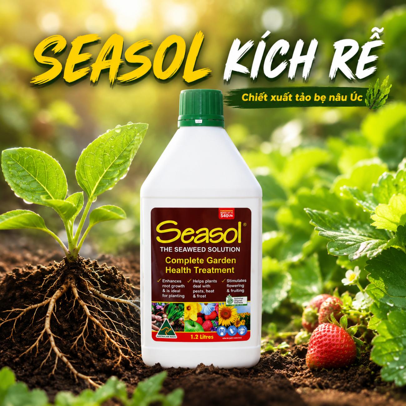 Seasol Kích Rễ