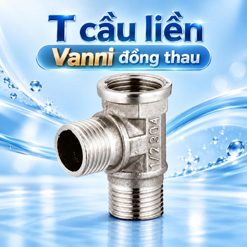 T cầu liền Vanni đồng thau