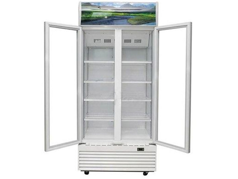 Tủ mát 2 cánh Sanaky Inverter VH-8009HP3 700 lít