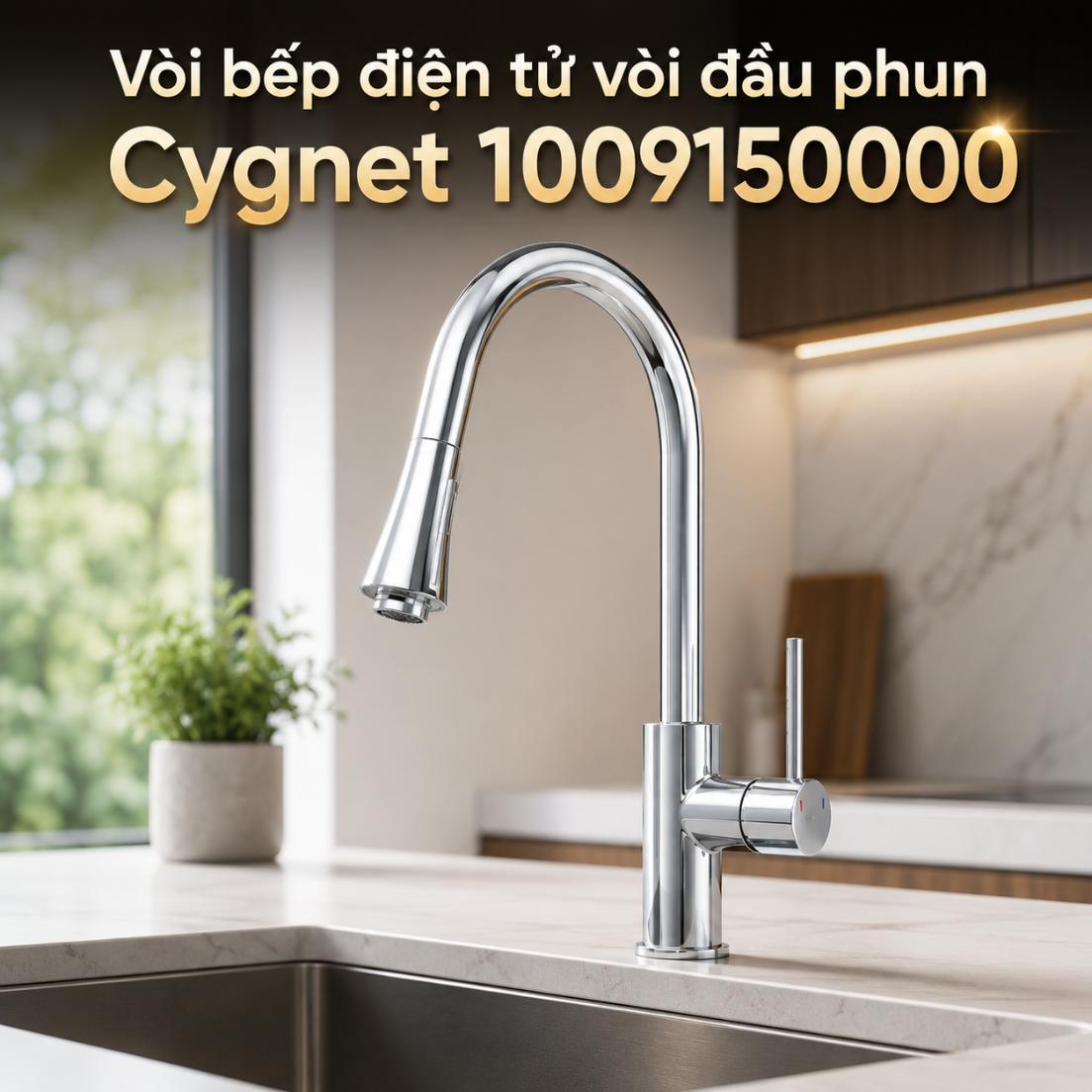 Vòi bếp dây rút với đầu phun Cygnet 1009150000